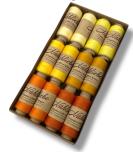 04 - Zitrus, Sofort lieferbar