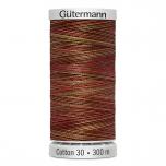 Gütermann Maschinen Quiltgarn Cotton 30 MULTICOLOR 4010