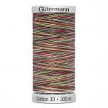 Gütermann Maschinen Quiltgarn Cotton 30 MULTICOLOR 4112