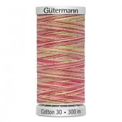 Gütermann Maschinen Quiltgarn Cotton 30 MULTICOLOR 4127