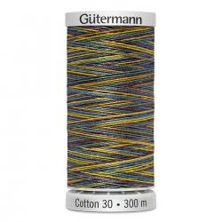 Gütermann Maschinen Quiltgarn Cotton 30 MULTICOLOR 4113