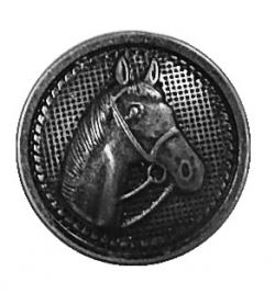Metall Wappen Knopf *PFERD* altsilber 25mm 