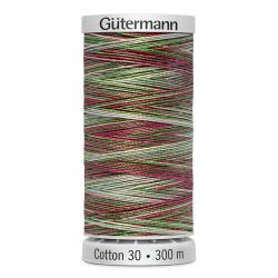 Gütermann Maschinen Quiltgarn Cotton 30 MULTICOLOR 4104