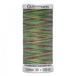 Gütermann Maschinen Quiltgarn Cotton 30 MULTICOLOR 4041