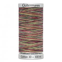 Gütermann Maschinen Quiltgarn Cotton 30 MULTICOLOR 4112